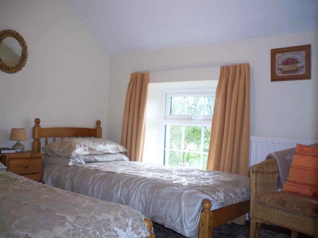 Lisnafillan Lodge Ballymena Extérieur photo